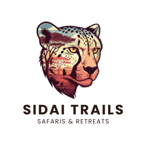 cropped sidai trails logo transparent background 6.png
