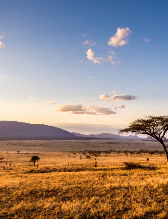 amazing,sunset,at,savannah,plains,in,tsavo,east,national,park, amazing,sunset,at,savannah,plains,in,tsavo,east,national,park,