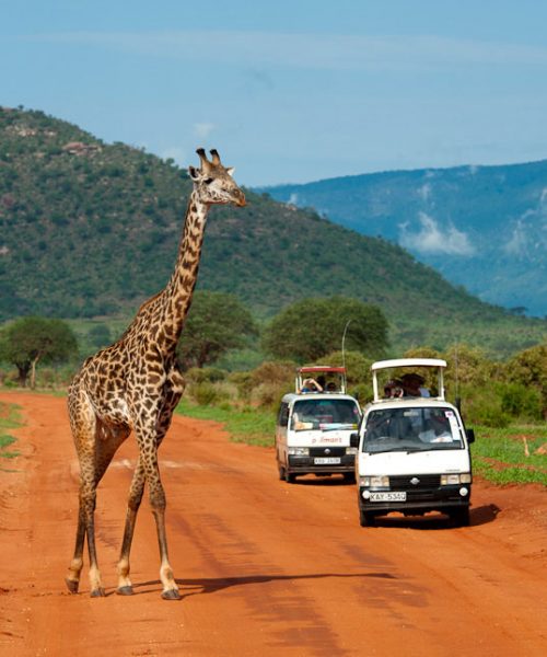 tsavo national park