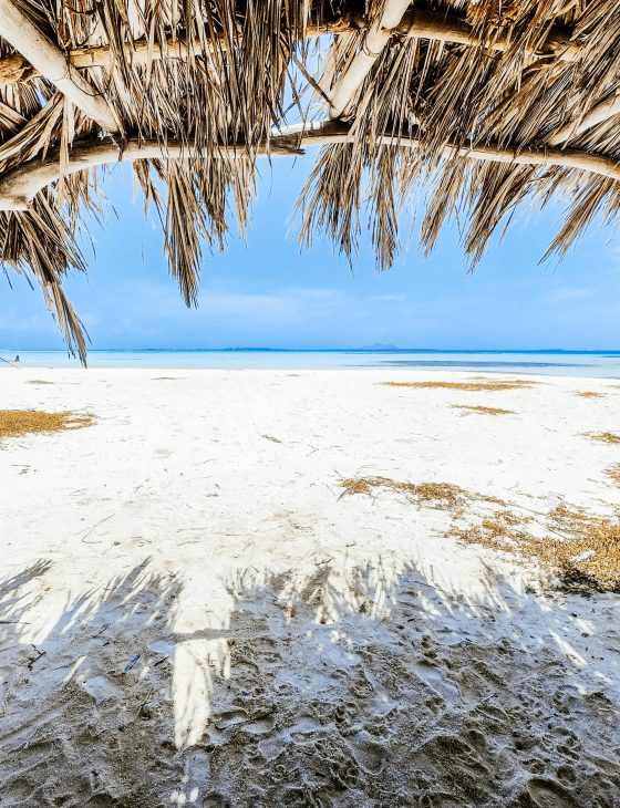 Serene sandy beach view framed by a rustic palm shelter, perfect for tropical holidays.
