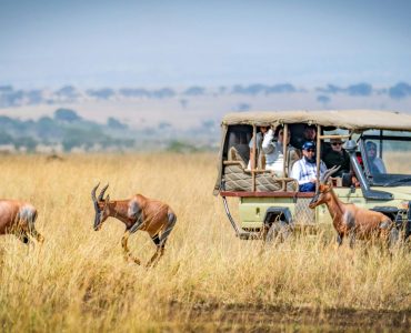 Tourists on an African safari observe antelopes in a scenic grassland setting.